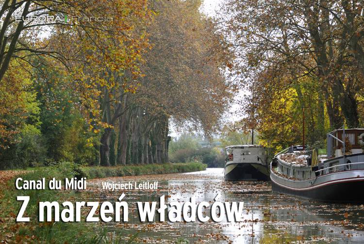 Losowy darmowy artykuł
